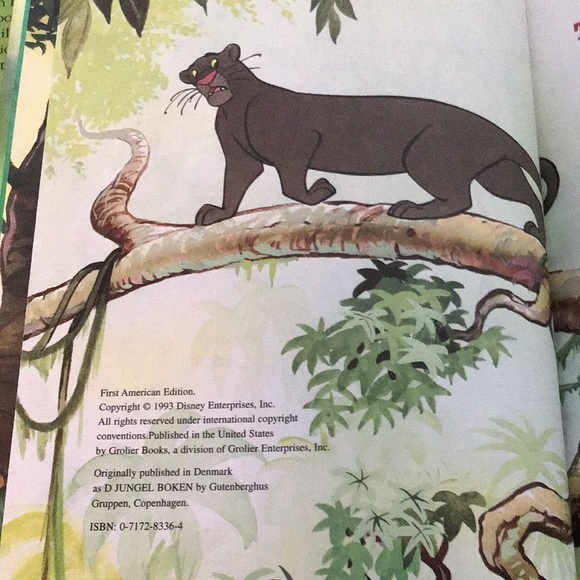 The Jungle Book vintage kids books pair Big Golden Book & Disney's Wonderful - Picture 7 of 9